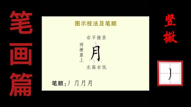 竖撇示范2:“月”字的书写技法演示