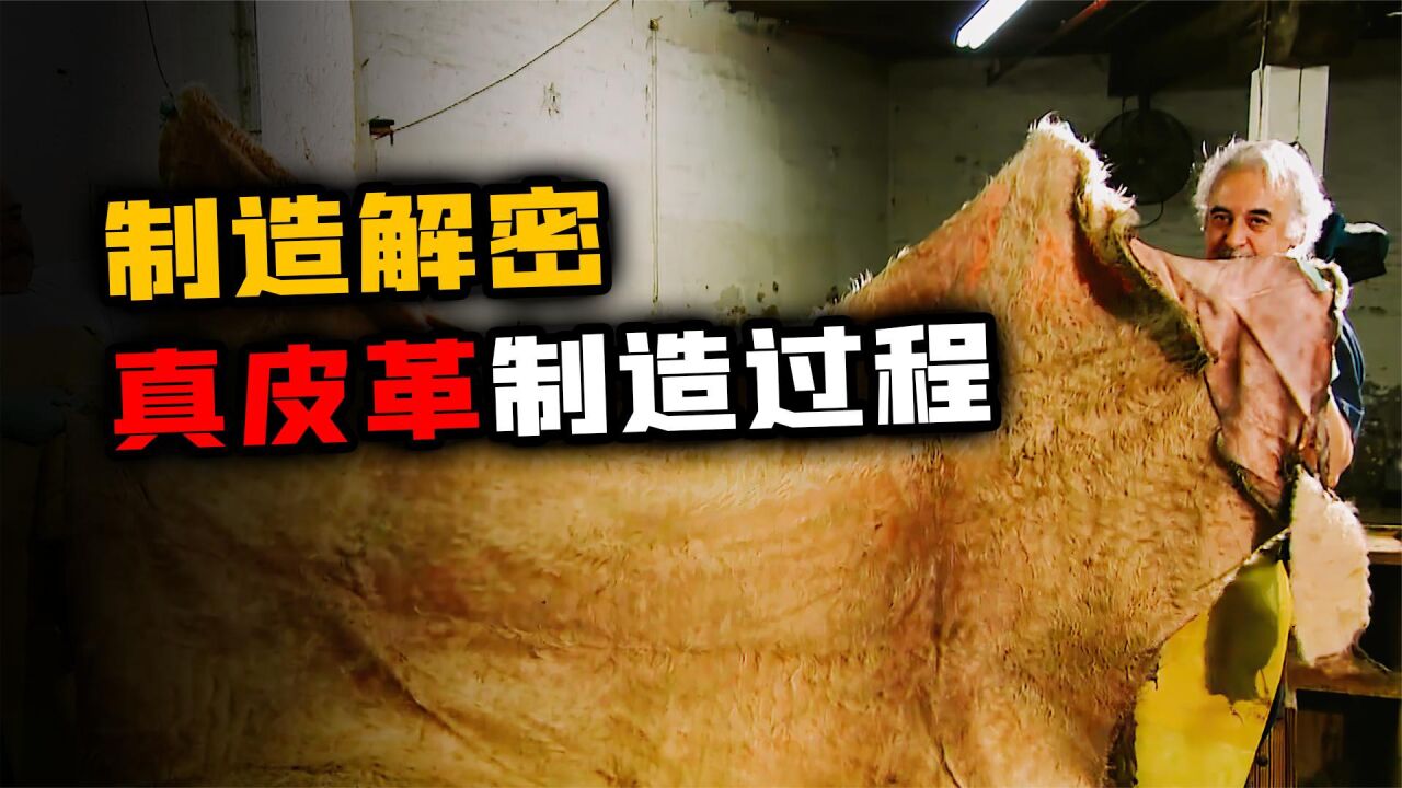 真皮革制造过程:新鲜生皮经过除毛酵解后,还需反复鞣制加工而成_腾讯视频