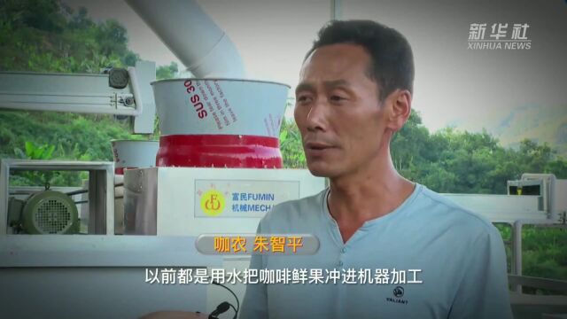 新华视点|又是一年咖啡红!云南宁洱鲜果初加工实现“加速度”