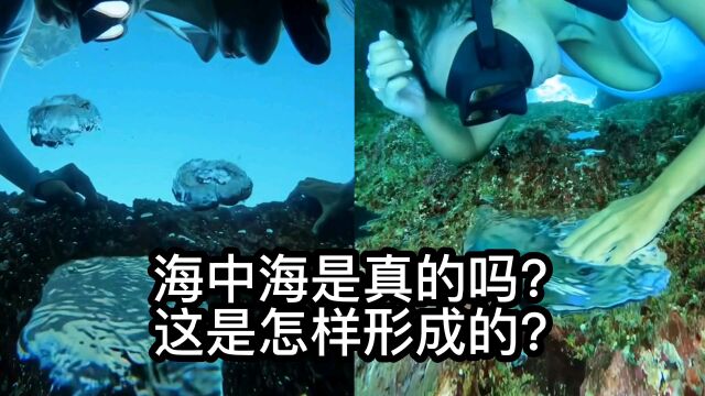 海中海是真的吗?这是怎样形成的?