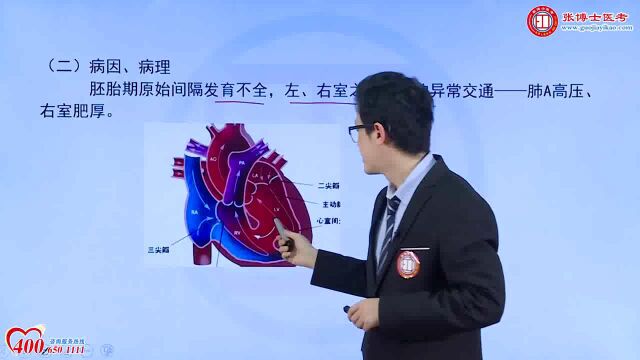 2023最新 胸心外科学主治医师 顶级名师 视频课程全部有