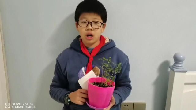 芜湖市小洲中心小学种植分享