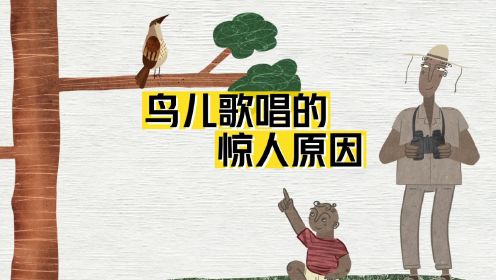 鸟儿歌唱的惊人原因