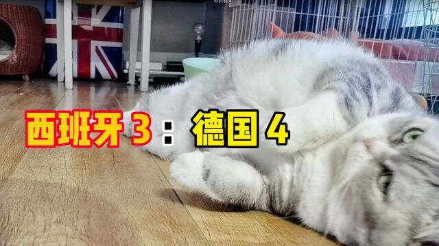 灵猫预测世界杯:德国VS西班牙4:3,敢信?