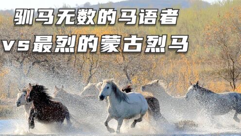 驯马无数的马语者，挑战最烈的蒙古烈马，到底能不能驯服！