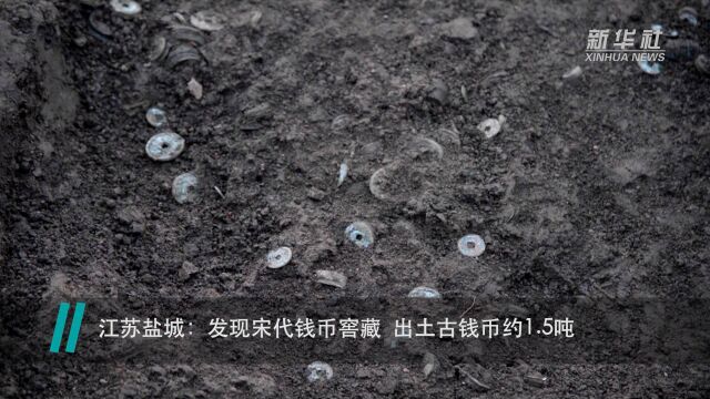 江苏盐城:发现宋代钱币窖藏 出土古钱币约1.5吨