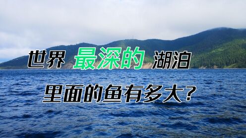 平均水深730米，年产鱼30亿斤的贝加尔湖，里面的鱼究竟有多大？