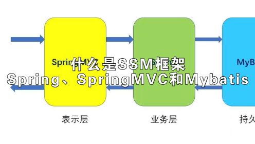 什么是SSM框架(Spring、SpringMVC和Mybatis)【java/spring/小白/新手/转行/零基础/初学者/入门好帮手/自学编程】