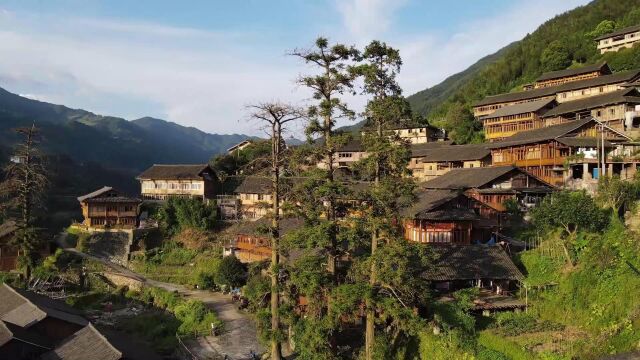 龙胜各族自治县金江村美景