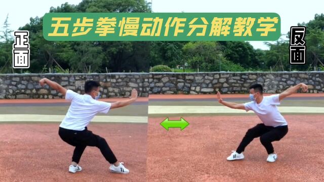 还记得你学的第一套拳吗?武术入门五步拳正反面,慢动作教学!