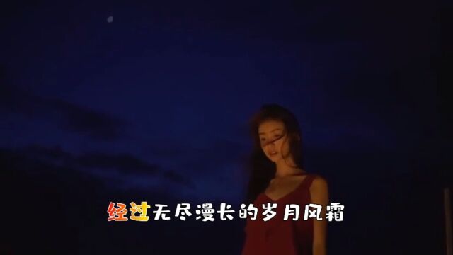 《曲中人》网络歌曲