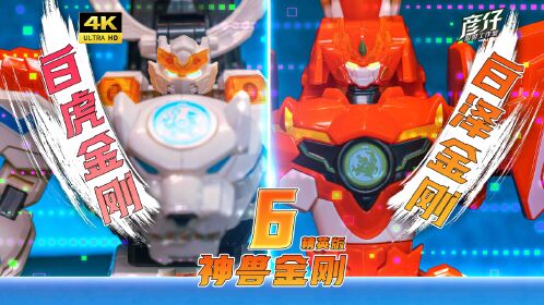 神兽金刚6精英版
