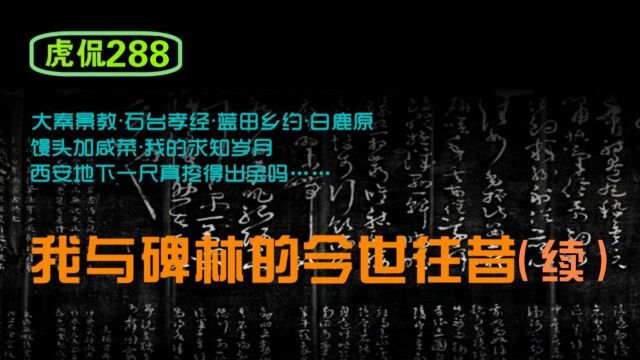 虎侃 288 我与碑林的今世往昔(续)