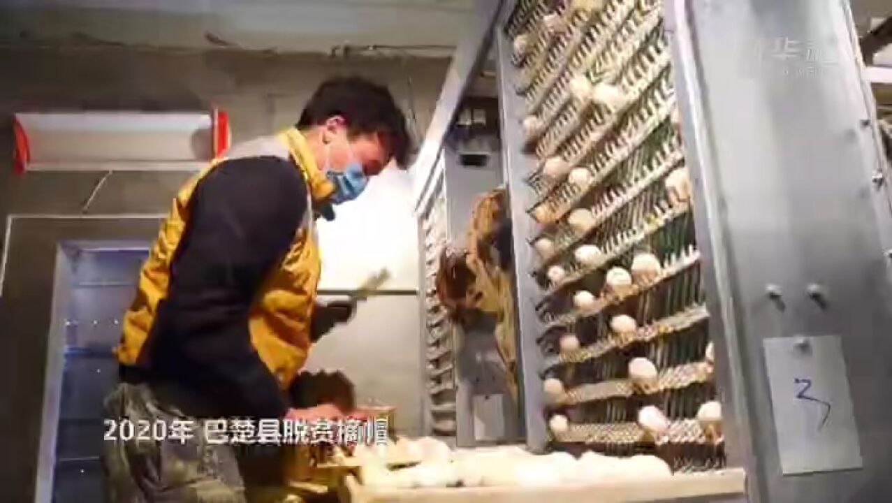 “85后”药宁,已任喀什市委书记_高清1080P在线观看平台_腾讯视频