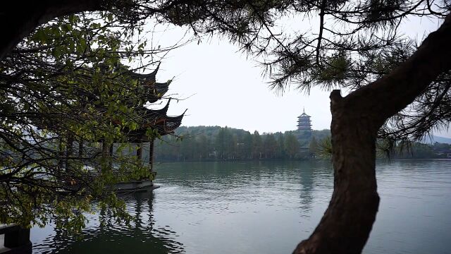 寒蝉凄切,对长亭晚.骤雨初歇,今宵酒醒何处.此去经年,应是良辰好景虚设.便纵有千种风情,更于谁说.在代代相传的故事里,长桥诉说着最动人的曾...