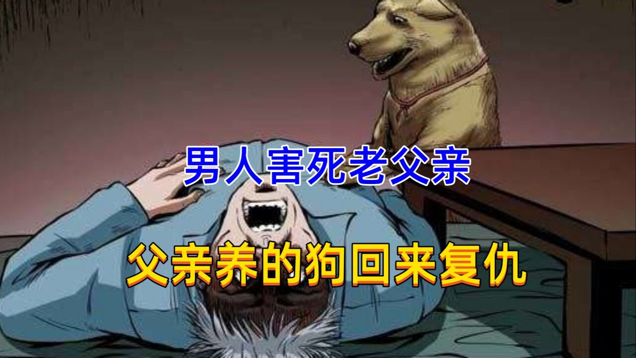 男人害死了父亲，还打死了父亲养的狗，结果狗魂回来报仇了！_高清1080P在线观看平台_腾讯视频