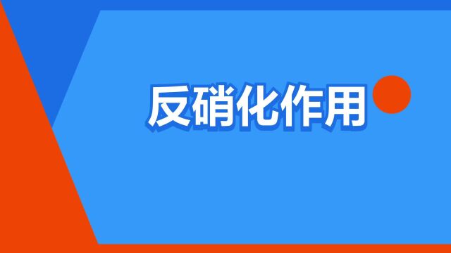 “反硝化作用”是什么意思?