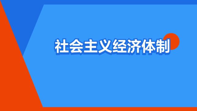 “社会主义经济体制”是什么意思?