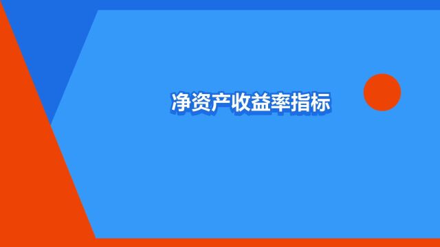 “净资产收益率指标的计算方法”是什么意思?