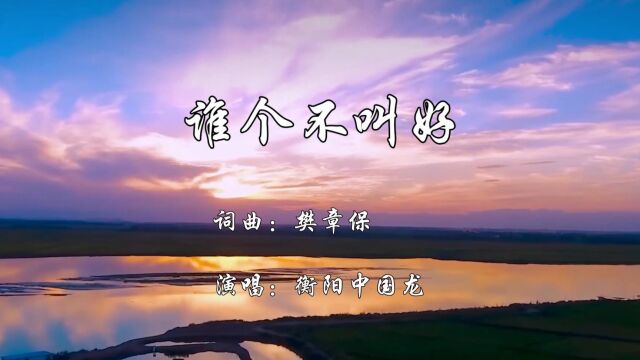 谁个不叫好词曲:樊章保 演唱:衡阳中国龙大山影音制作