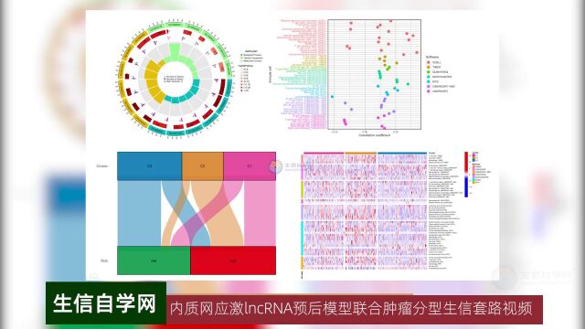 TCGA数据库内质网应激lncRNA预后模型联合肿瘤分型生信套路视频