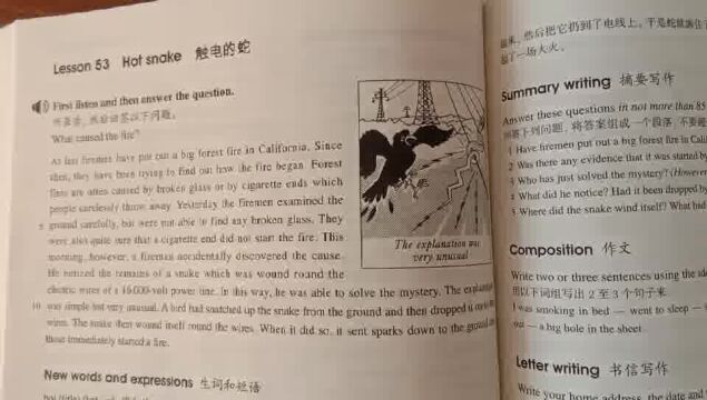 新概念英语第二册 lesson 53 触电的蛇