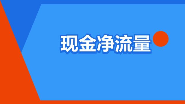 “现金净流量”是什么意思?