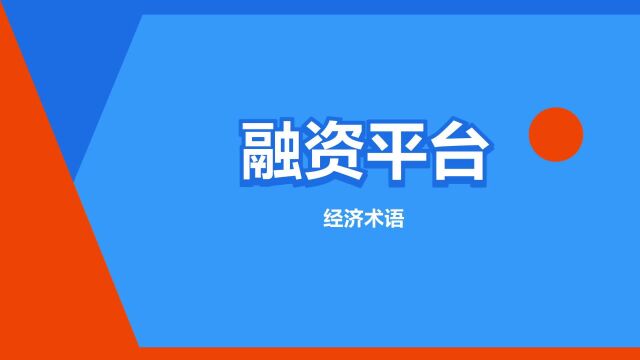 “融资平台”是什么意思?