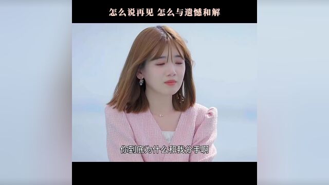 怎么说再见怎么和遗憾和解