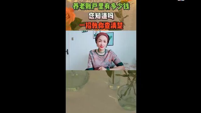 你的养老账户里有多少钱你知道吗,教你一招手机就能查出