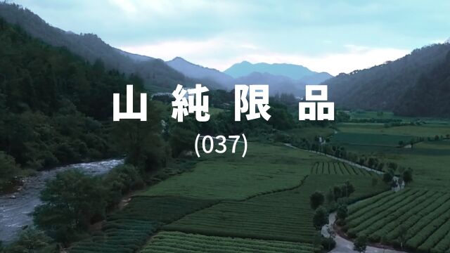 山纯限品037三姑峰高枞水仙纪录片