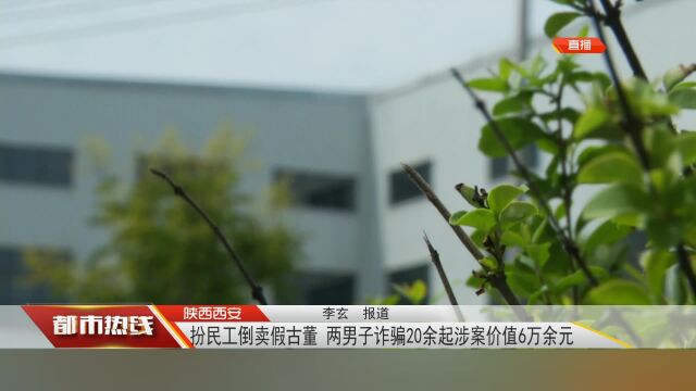 陕西西安:扮民工倒卖假古董 两男子诈骗20余起涉案价值6万余元