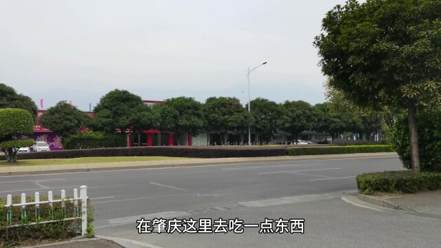 6个人消费了399元,地点广东省肇庆市端州区,8个菜价格合理吗?