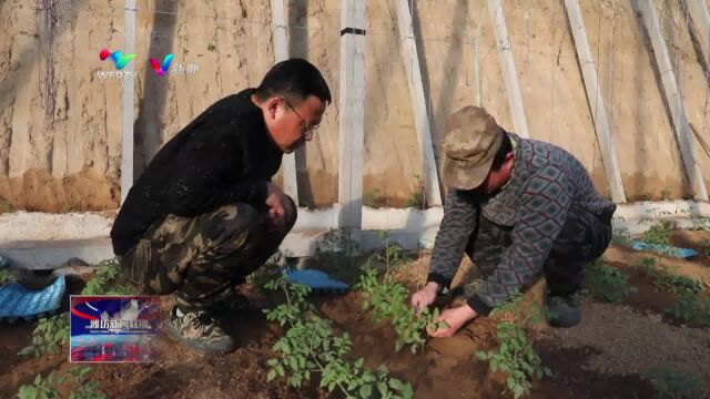 跨区域党建推动“寿光模式”走出去