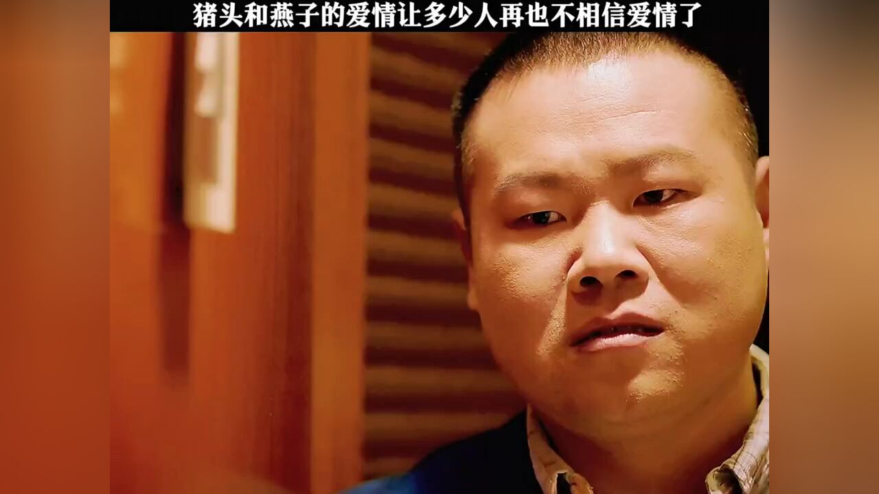 猪头和燕子的爱情让多少人再也不相信爱情了