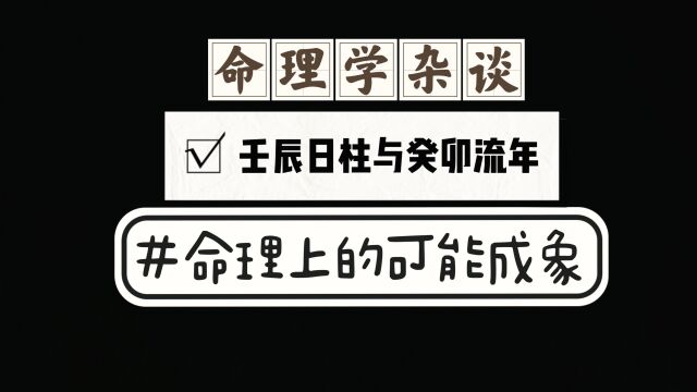 29壬辰日柱与癸卯流年命理学成象可能性参考,解读传承易学文化