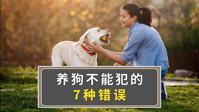 养狗不能犯的7种错误