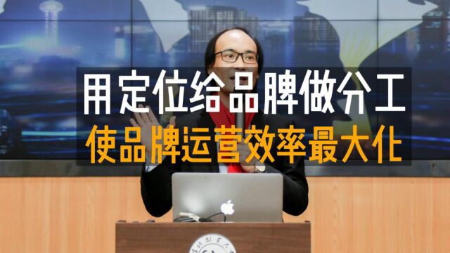 杨蒋银:用经济学分工思维,给你做差异化分工,打爆你的品牌价值