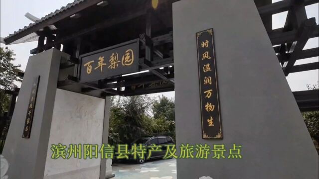 滨州阳信县特产及旅游景点