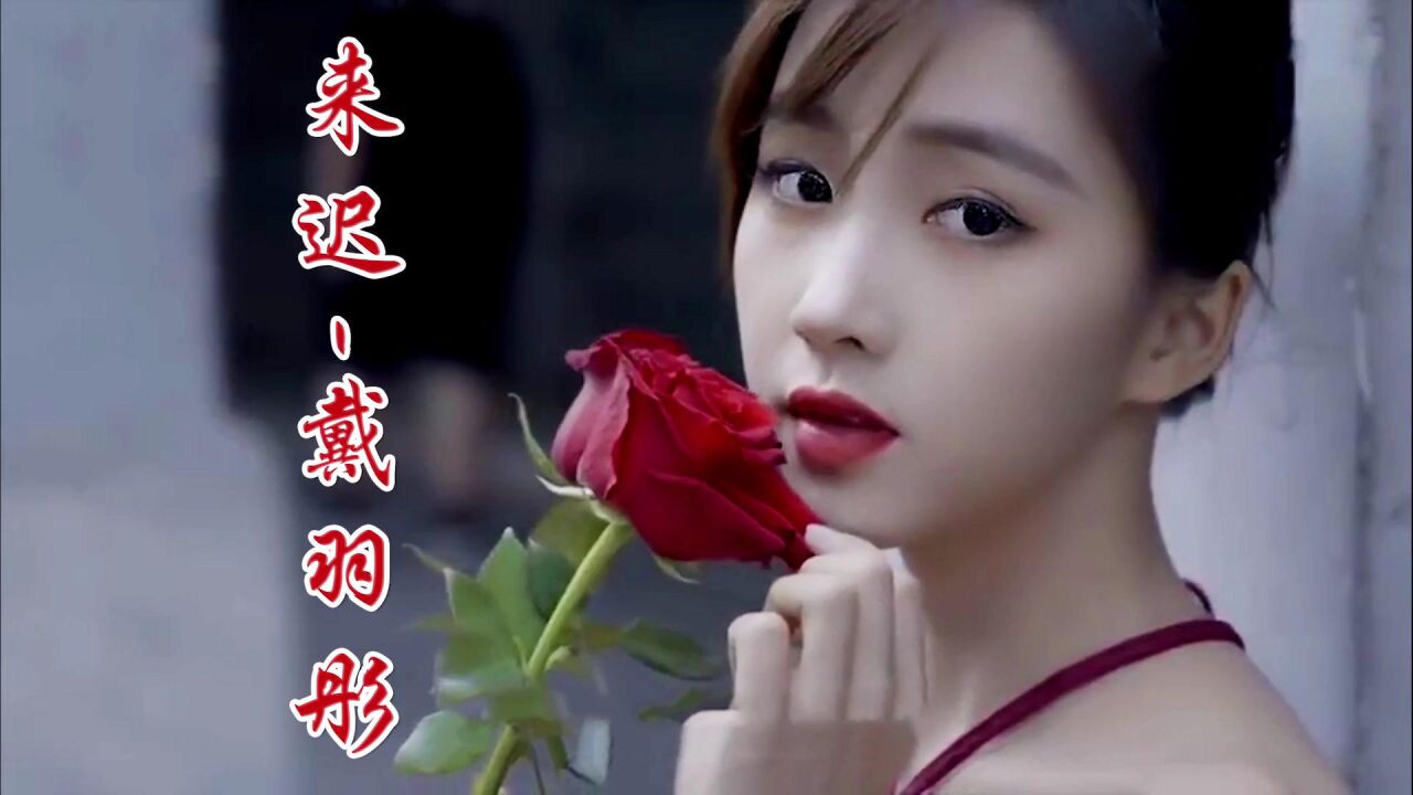 戴羽彤一首《来迟》这一次终究还是来得太迟,错过了你所有的故事