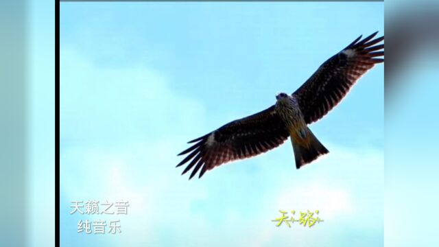 享受音乐时光《纯音乐~天路》