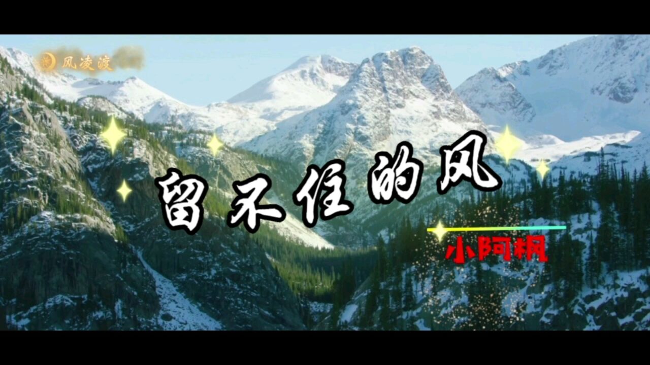 歌曲《留不住的风》,新生代小阿枫实力演唱