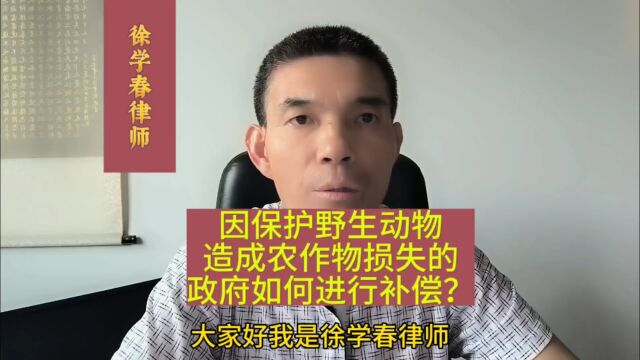 因保护野生动物,造成农作物损失的,政府应如何进行补偿?