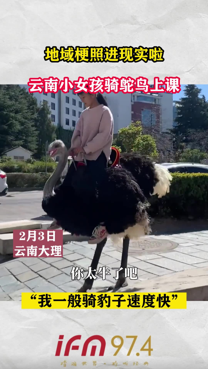 地域梗照进现实啦,云南小女孩骑鸵鸟上课