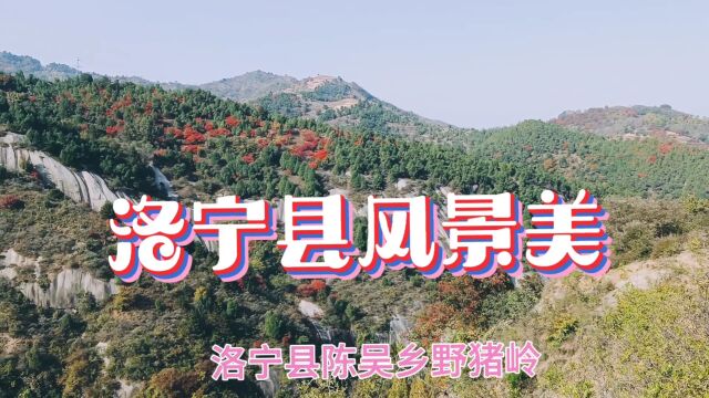 慈善家郭战解拍于河南省洛宁县风景!