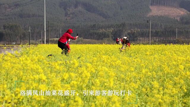 柳南花海稻香、古楼深邃、红叶烂漫、红豆传情,承包你一天的美好时光