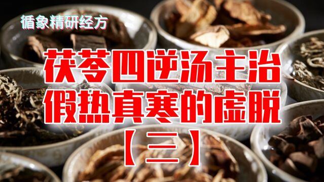 有一份水气必伤一份阳气(二),茯苓四逆汤主治假热真寒的虚脱(3)