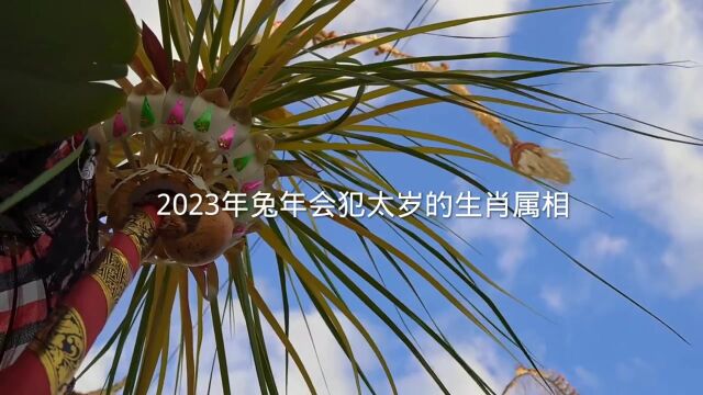 2023年兔年会犯太岁的生肖属相,你们知道有哪几个吗?