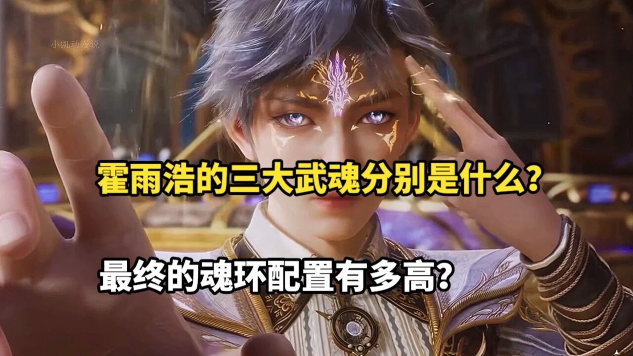 斗罗大陆:霍雨浩的三大武魂分别是什么?最终的魂环配置有多高?_高清1080P在线观看平台_腾讯视频