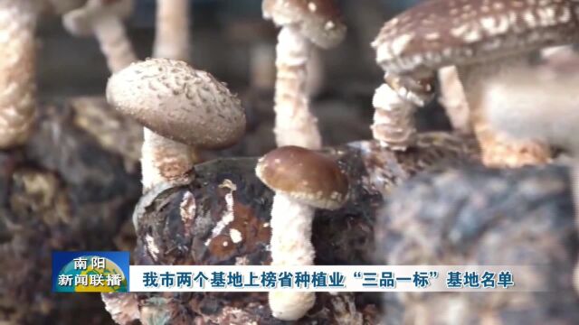 南阳市两个基地上榜省种植业“三品一标”基地名单